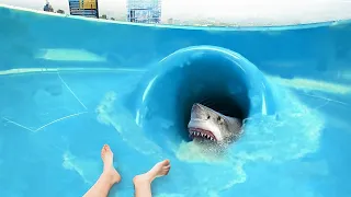 Kameralar Kayıttaydı Ve Adam Köpekbalıklarıyla Dolu Havuza Düştü. Yasaklı Su Kaydırağı Sonu Oldu..!