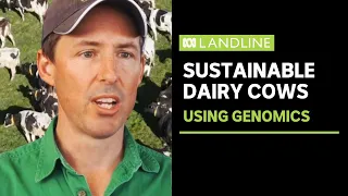 Genomics creating sustainable cows | Landline | ABC News