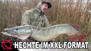 Hechte im XXL Format | Hechtangeln mit Köderfisch | Deadbaiting by Stefan Seuß