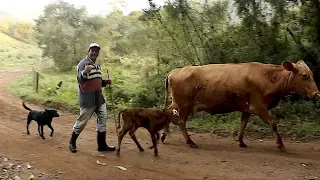 GENTE QUE NUNCA VIVEU NA CIDADE - RODOLFO E MARIA DE LOURDES - GONÇALVES MG