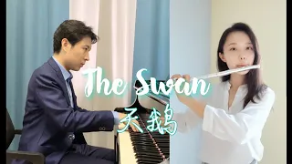 The Swan (Le Cygne) | Saint-Saens | Flute and Piano Cover