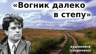 "Вогник далеко в степу" аудіокнига скорочено. Григір Тютюнник