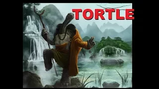 Dungeons and Dragons Lore: Tortle