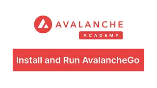 Install and Run AvalancheGo - Avalanche Academy