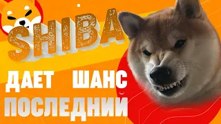 SHIBA INU | Если ты хочешь купить Шибу, тебе нужно это знать | (анализ токена Shiba)