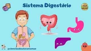 Sistema Digestivo ou Digestório 5º ano fundamental