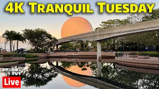 🔴Live: 4K Tranquil Tuesday at Epcot - 10-24-23 - Walt Disney World Live Stream