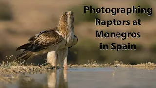 Bird Photography in Spain with the OM-1 and 150-400mm lens
