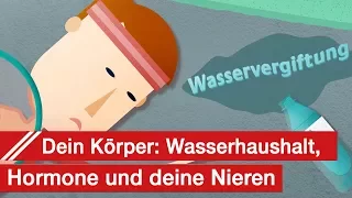 Trinken, Wasser, Hyponatriämie und SIADH: Der Mensch, das Wasserwesen und deine Nieren