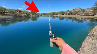 What Fish Can We Catch w/ This Micro Rod? (INSANE)