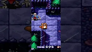 Pocky & Rocky on snes