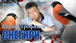 Сергей Трофимов - Снегири//cover//Михаил Тё//video//live//