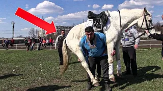 The World Strongest Man is Carrying Horse 🐎 on his Back 😱 | Dmitriy Khaladzi | Gym Devoted