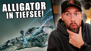 Erster Alligator Food Fall in der Tiefsee! Was passiert mit ihm? | Robert Marc Lehmann