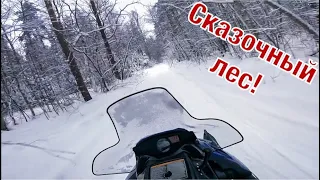 Покатушка На Снегоходе Polaris 600 По Заснеженному Лесу - Это Было Круто!