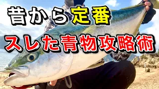 スレた大型青物をルアーで釣り上げる為の狂わせ方【誰でも釣れる】サーフでライトショアジギング