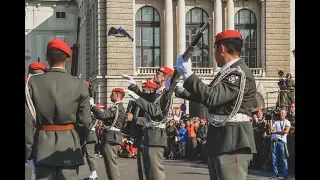 Nationalfeiertag 2019 Showexerzieren 1.GdKp