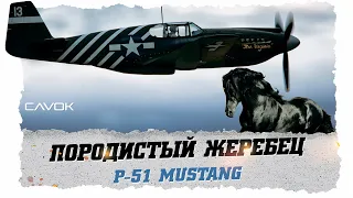 ПОРОДИСТЫЙ ЖЕРЕБЕЦ | P-51 MUSTANG | ПЕРВАЯ ЧАСТЬ