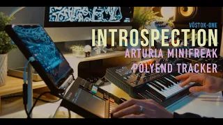 "Introspection" Arturia Minifreak, Polyend Tracker, Ruismaker Gauss