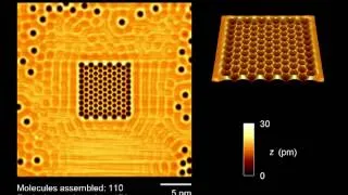 Dirac fermions in molecular graphene