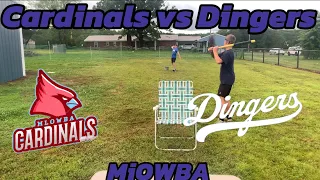 Cardinals vs Dingers| MiOWBA