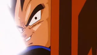 What Vegeta actually does inside the Time Chamber