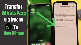 Transfer WhatsApp From Old iPhone To New iPhone 14 Pro Max (Easy Step By Step)