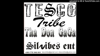 Dj Tesco Tribe - EXTENDED REMIX Party time