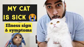 How to tell if your Cat is sick and in pain | Cat sickness sign & symptoms | Common diseases in Cats