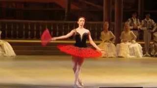 Ekaterina Krysanova - Don Quixote