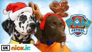 Paw Patrol | Real Pups Save Christmas | Nick Jr. UK