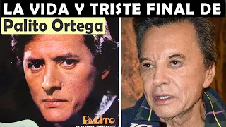 La Vida y El Triste Final de Palito Ortega