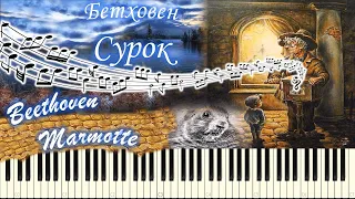 Бетховен - Сурок / Marmotte (piano tutorial) [НОТЫ + MIDI]