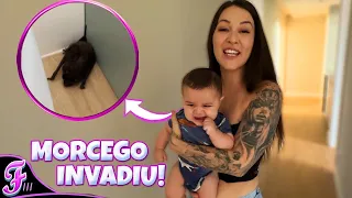 ENTROU UM MORCEGO EM CASA! - Fran Japa