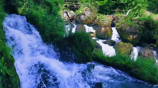 Расслабляющие звуки водопада Белый шум для сна 10 часов