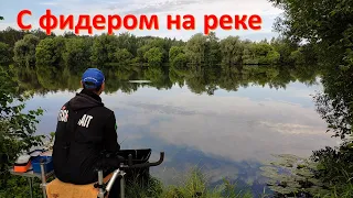 Рыбалка с фидером на реке в июле