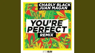 You're Perfect (Remix)