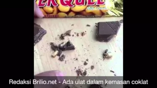 Dikumentasi Pribadi Yulanika Jessica - Pemilik Coklat Silverqueen yang mengeluarkan ulat