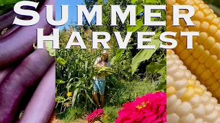 The Joys Of Summer Harvest~Kissed Sweet Corn~Hot Sauce~Pepper & Eggplant Antipasto