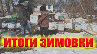 Итоги зимовки пчел на воле и (ЗИМОВНИКЕ)помещении. Сколько сели меда за зиму. Поздний расплод у пчел