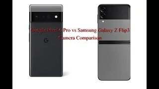 Pixel 6 Pro vs Z Flip 3 Camera Comparison