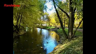 Осенние краски парка Екатерингоф (Алексей Пацовский, 2019_10_05)