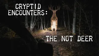 Cryptid Encounters: The Not Deer