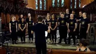 Sky Choir - Skyfall (Adele)