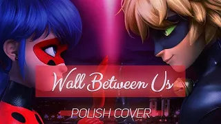 Wall Between Us II Miraculous Ladybug II Polish Cover