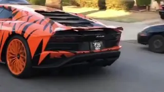 Tyga showing his lambo printed with tiger colours | T-RAW on some west coast sh*t|