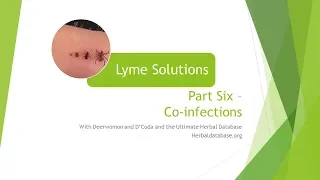 Lyme Part Six   Co-infections