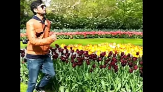 Recreating classic Bollywood moves in the Tulip Fields of Netherlands