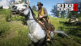 O domador de cavalos - DOMANDO O PURO SANGUE INGLÊS - Red Dead Redemption 2