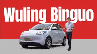 BYD Dolphin Mini's Head-on $12k EV Rival - Wuling Binguo Review